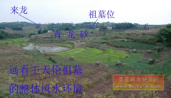重庆黑社会头目之一的王天伦祖坟风水揭秘